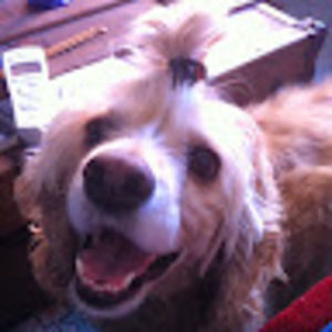 Meet your Posher, Kendal